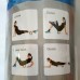 Ролик масажний для йоги (33 см*13,5 см) фото